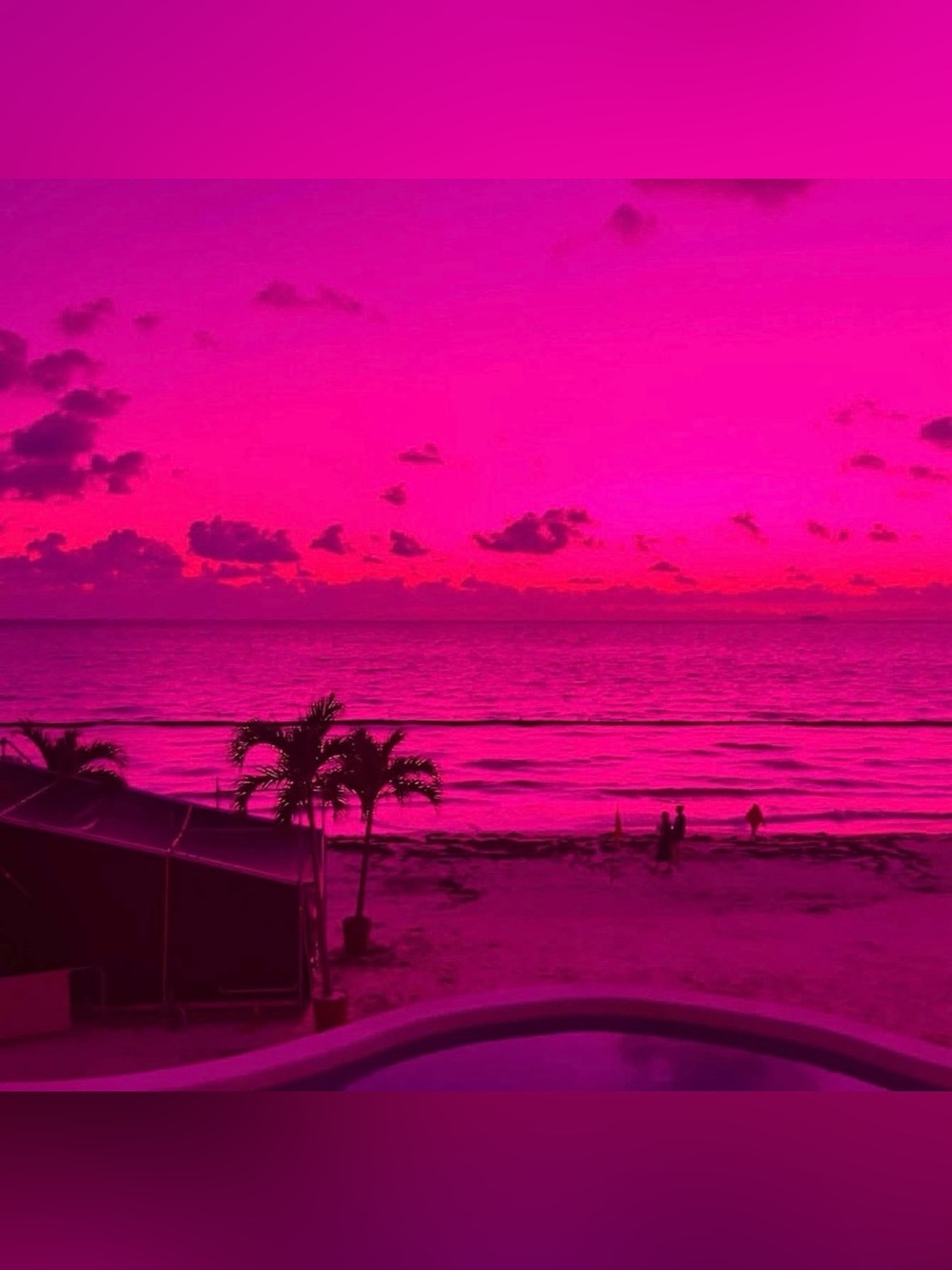 Rainbow OPTX Magenta translucent Sunglasses NEW - Picture 10 of 11